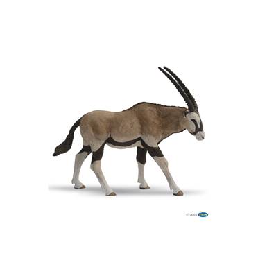 PAPO - Antilope oryx