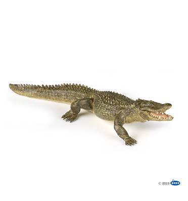 PAPO - Alligator