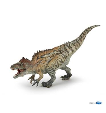 PAPO - Acrocanthosaurus