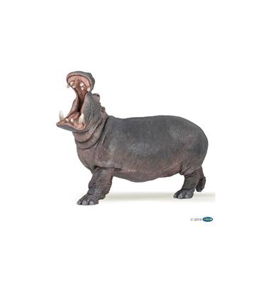 PAPO - Hippopotame