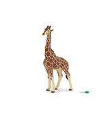 PAPO - Girafe mâle