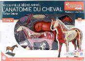 MGM - 546101 - EXPLORA - Cheval - Zoologie