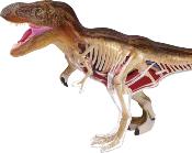 MGM -546092 -  EXPLORA PALEONTOLOGIE T REX