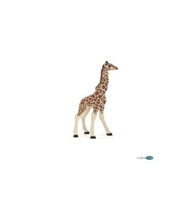 PAPO - Girafon