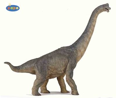 PAPO - Brachiosaure