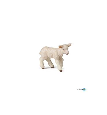PAPO - Agneau mérinos