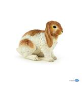 PAPO - Lapin bélier