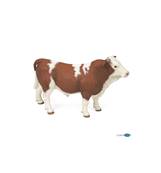 PAPO - Taureau simmental