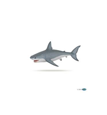 PAPO - Requin blanc