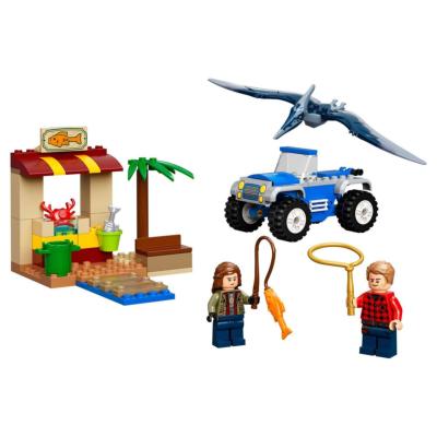 37-A2202186 - LEGO Jurassic World 76943 La Course-Poursuite du Ptéranodon