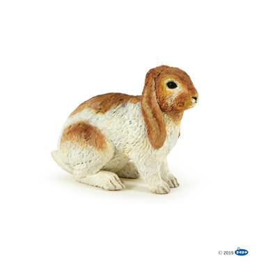 PAPO - Lapin bélier