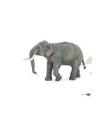 PAPO - Eléphant d asie