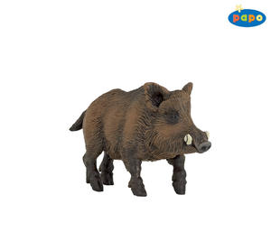 PAPO - Sanglier