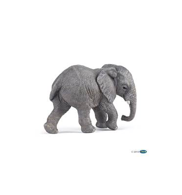 PAPO - Jeune éléphant d afrique