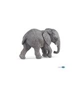 PAPO - Jeune éléphant d afrique