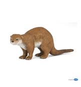PAPO - Loutre