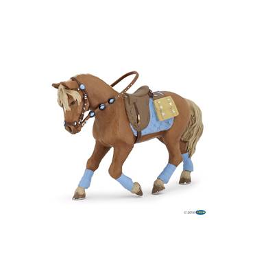 PAPO - Cheval du jeune cavalier