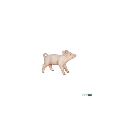 PAPO - Cochonnet femelle
