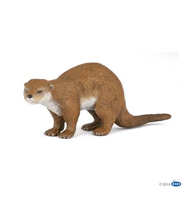 PAPO - Loutre