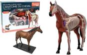 MGM - 546101 - EXPLORA - Cheval - Zoologie