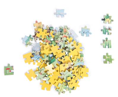MOULIN ROTY - Puzzle de l'explorateur la forêt (96 pièces) le jardin du moulin