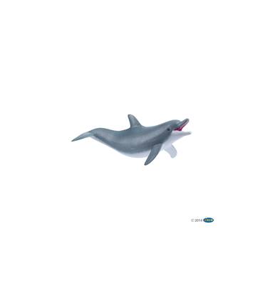 PAPO - Dauphin jouant